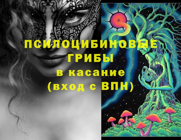 a pvp Касимов
