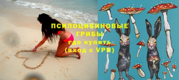 a pvp Касимов